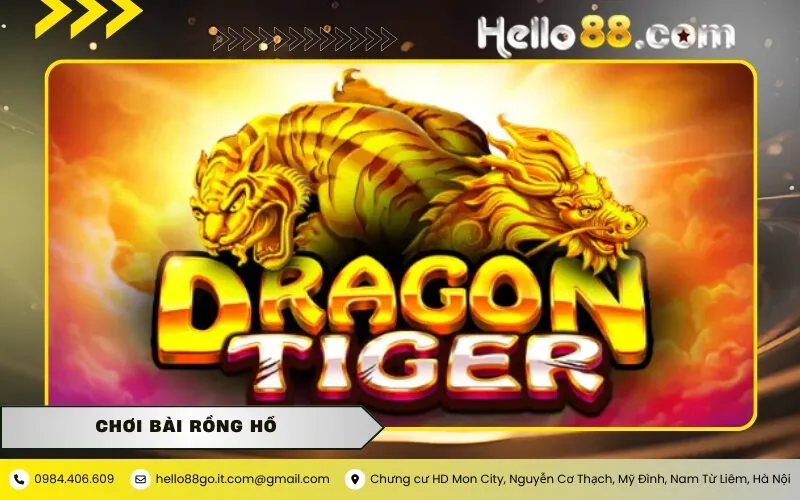 Cách Chơi Bài Rồng Hổ Luôn Thắng Tại Nhà Cái Hello88