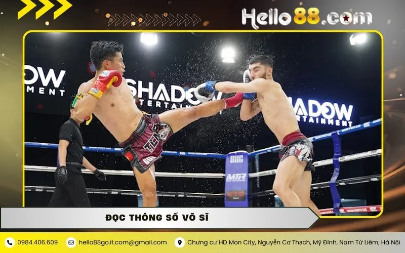 Cách Đọc Thông Số Võ Sĩ Hello88 Trước Khi Đặt Cược