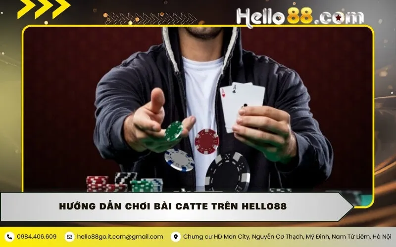 Hướng dẫn chơi Bài Catte trên hello88
