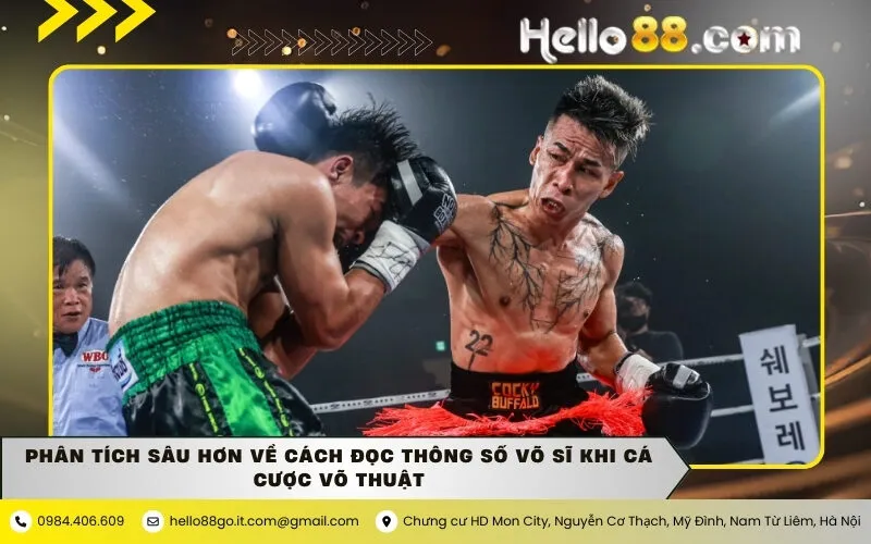 Phân tích sâu hơn về cách đọc thông số võ sĩ khi cá cược võ thuật
